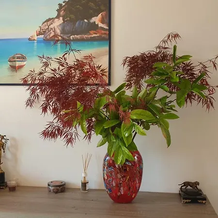 Apartamento La Tortuga *